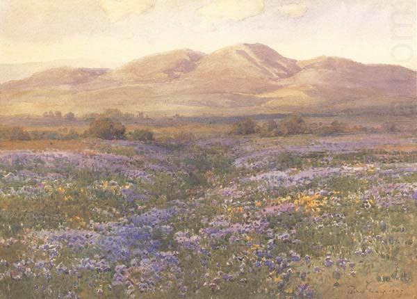 Lupine in Kern County, unknow artist